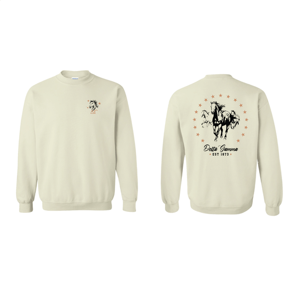 Wild Pony Sweatshirt